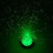 Load image into Gallery viewer, Fibre Optic Sensory Lamp